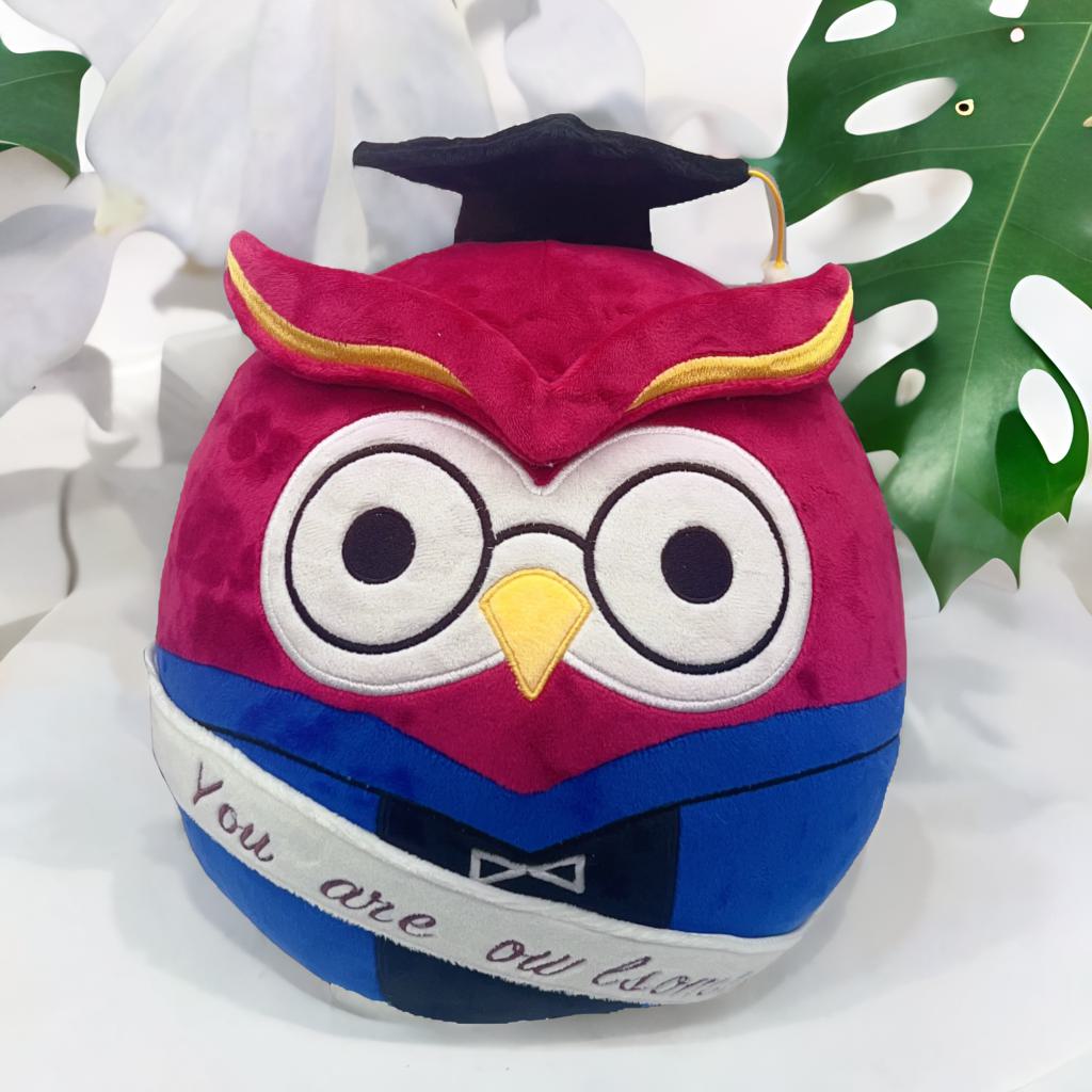 12" Graduation Dr.Owl Plush Toy — You are Owlsome